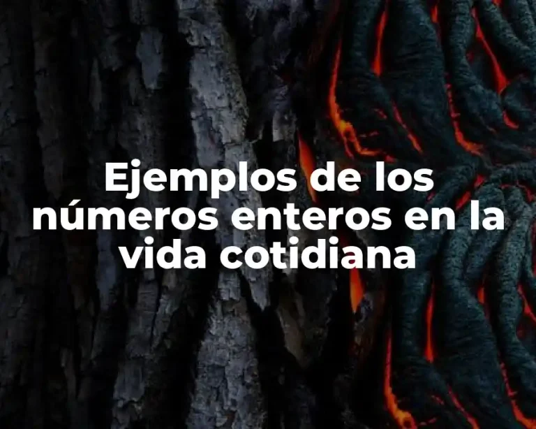Ejemplos de los números enteros en la vida cotidiana