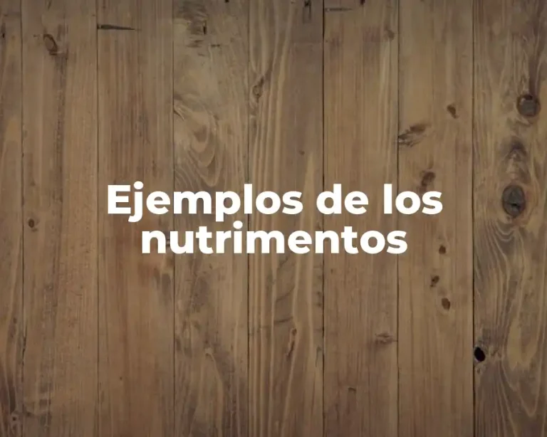 Ejemplos de los nutrimentos