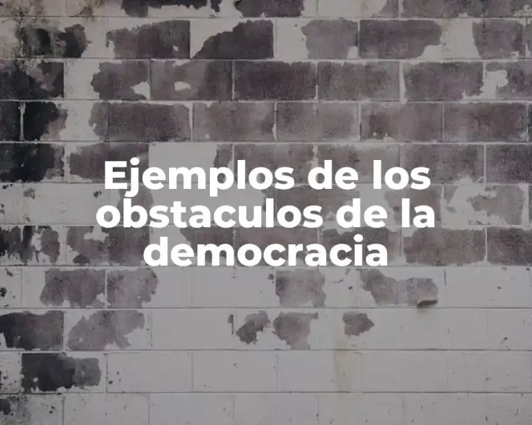 Ejemplos de los obstaculos de la democracia