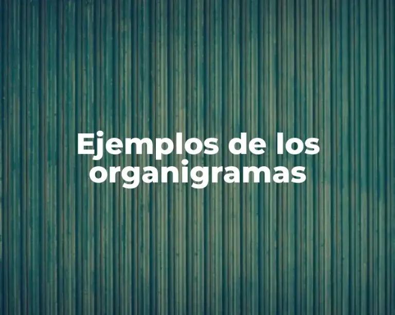 Ejemplos de los organigramas