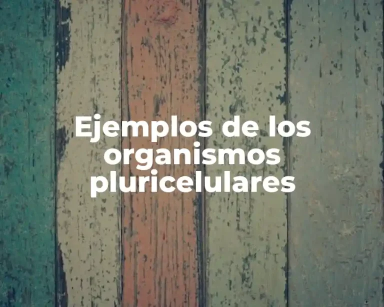 Ejemplos de los organismos pluricelulares