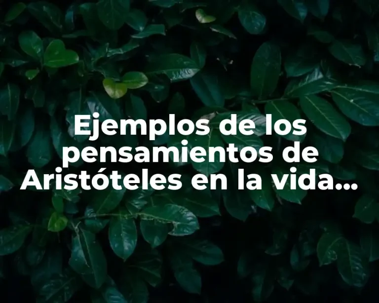Ejemplos de los pensamientos de Aristóteles en la vida cotidiana