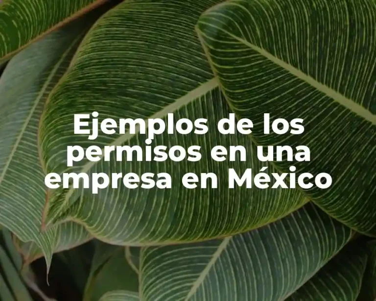 Ejemplos de los permisos en una empresa en México