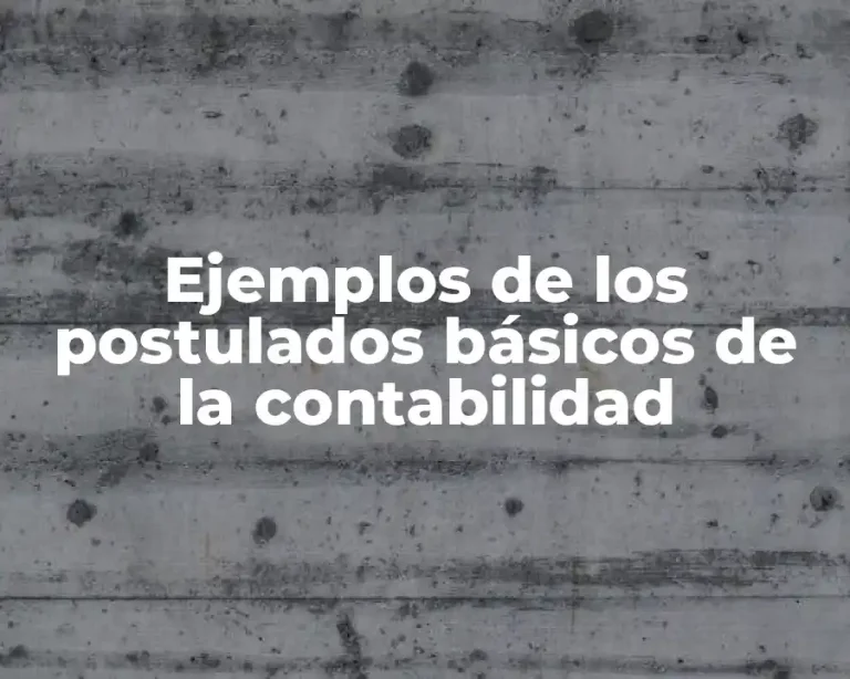 Ejemplos de los postulados básicos de la contabilidad