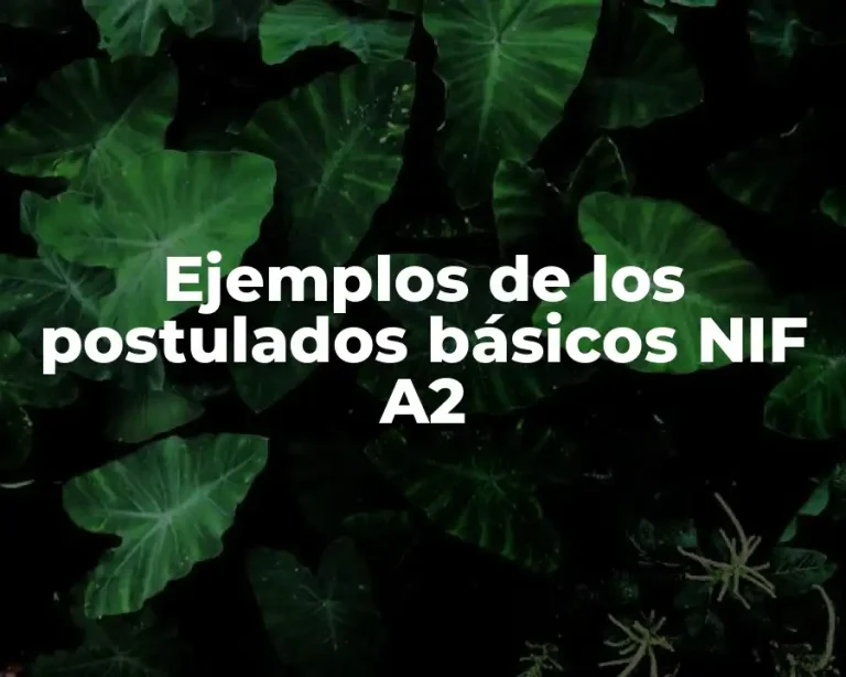 Ejemplos de los postulados básicos NIF A2