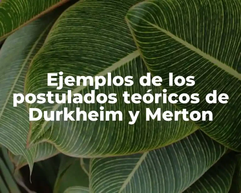 Ejemplos de los postulados teóricos de Durkheim y Merton