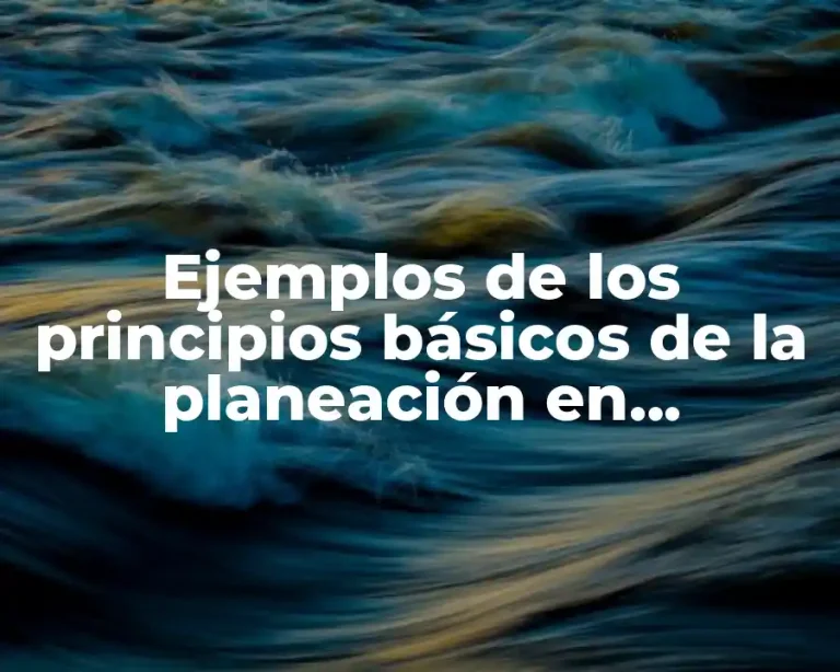 Ejemplos de los principios básicos de la planeación en administración y Significado