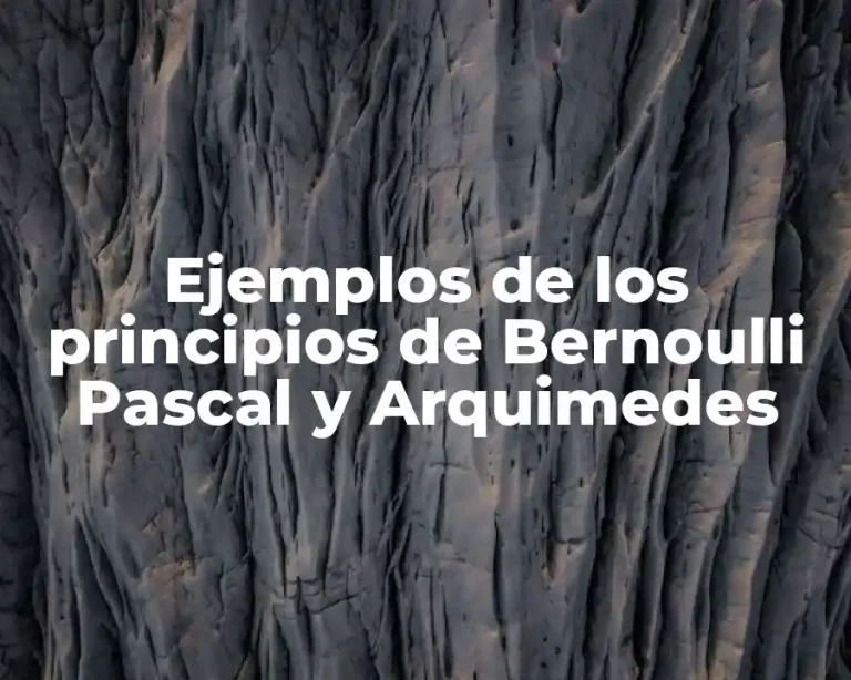 Ejemplos de los principios de Bernoulli Pascal y Arquimedes