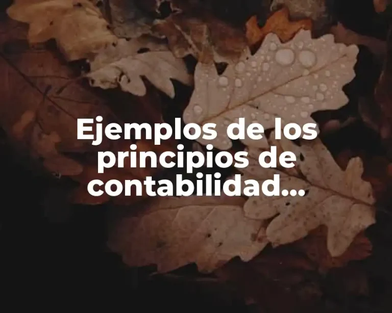 Ejemplos de los principios de contabilidad generalmente aceptados en