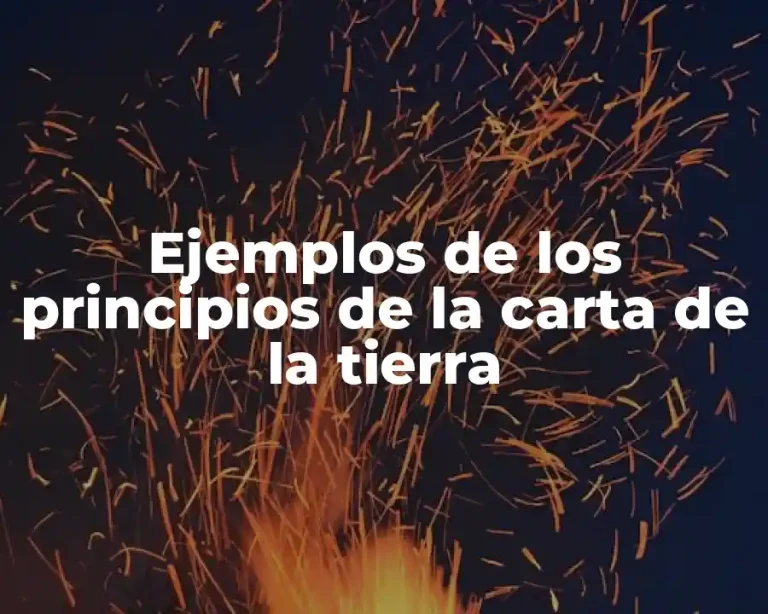 Ejemplos de los principios de la carta de la tierra