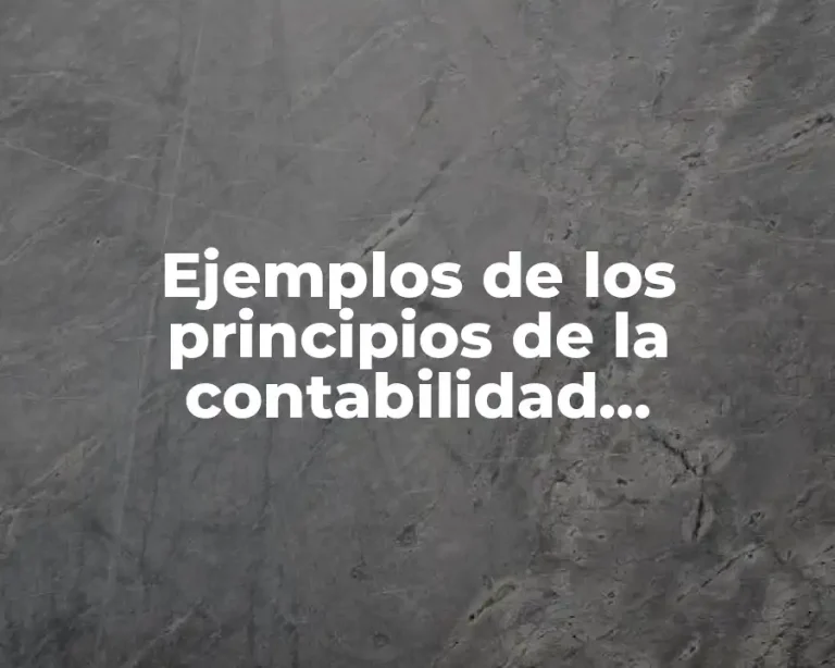 Ejemplos de los principios de la contabilidad gubernamental