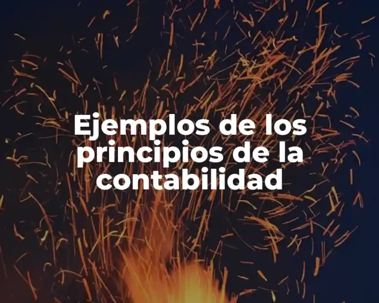 Ejemplos de los principios de la contabilidad