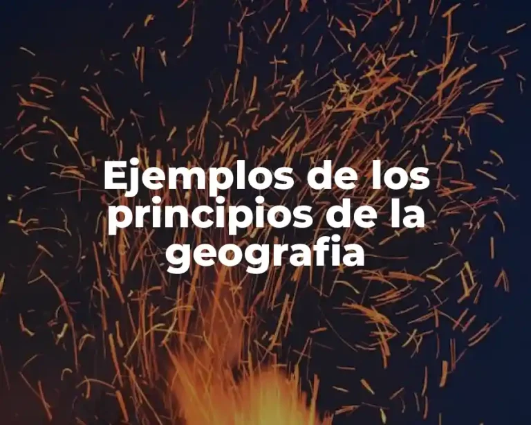 Ejemplos de los principios de la geografia