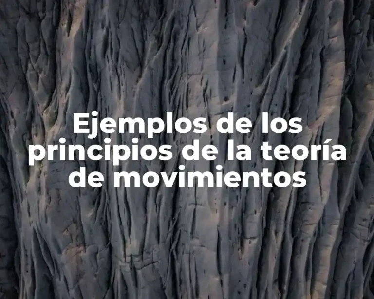 Ejemplos de los principios de la teoría de movimientos