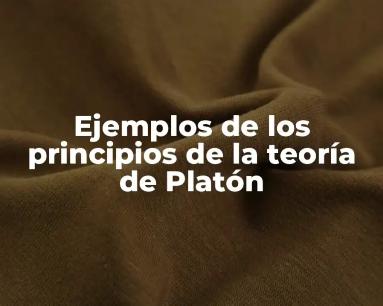 Ejemplos de los principios de la teoría de Platón