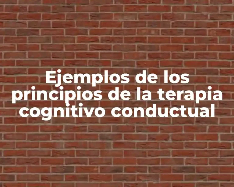 Ejemplos de los principios de la terapia cognitivo conductual