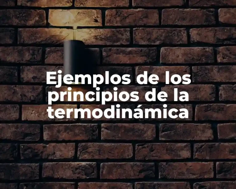 Ejemplos de los principios de la termodinámica