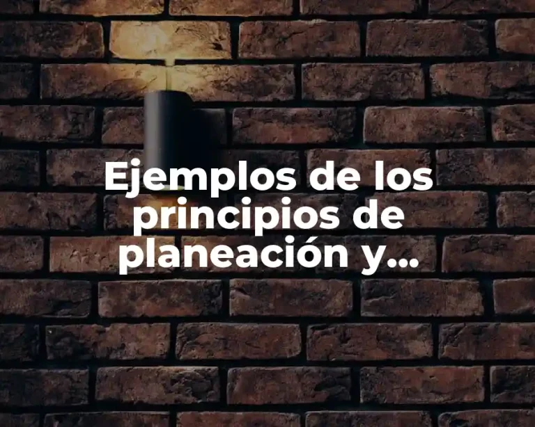 Ejemplos de los principios de planeación y Significado