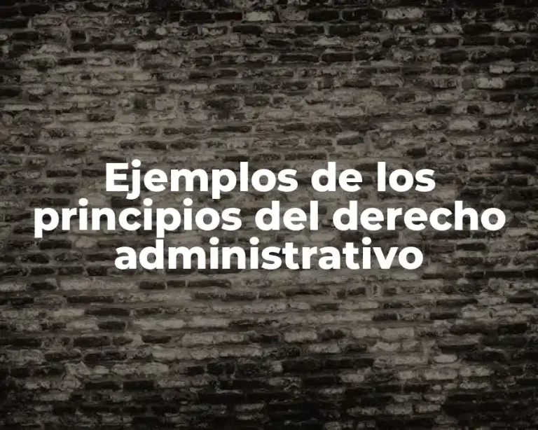 Ejemplos de los principios del derecho administrativo