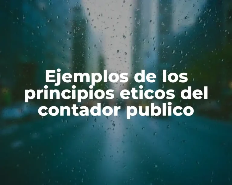 Ejemplos de los principios eticos del contador publico