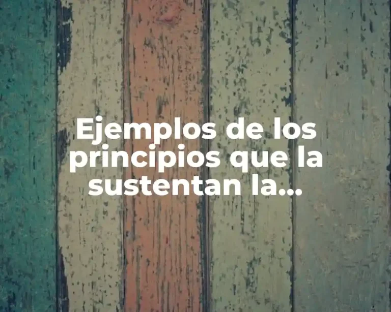 Ejemplos de los principios que la sustentan la participación ciudadana