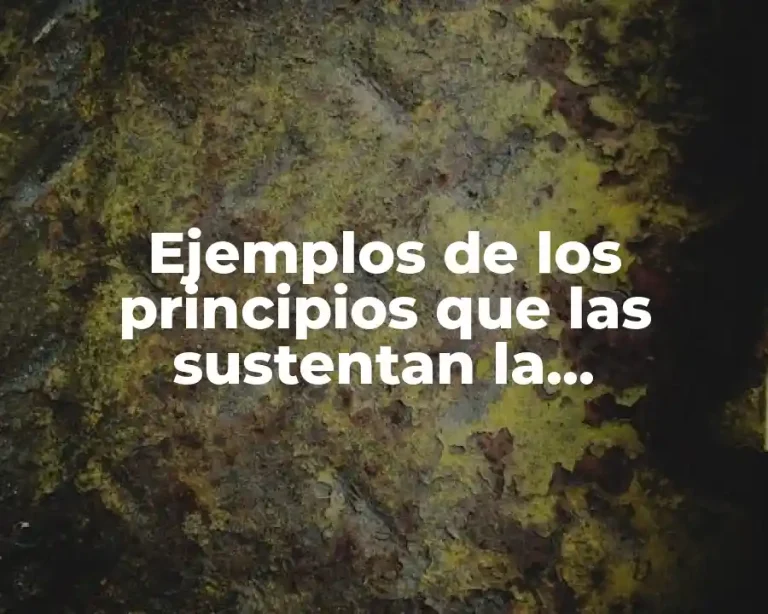 Ejemplos de los principios que las sustentan la participación ciudadana