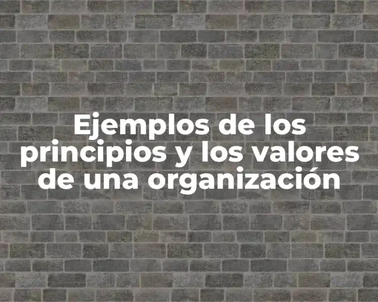 Ejemplos de los principios y los valores de una organización