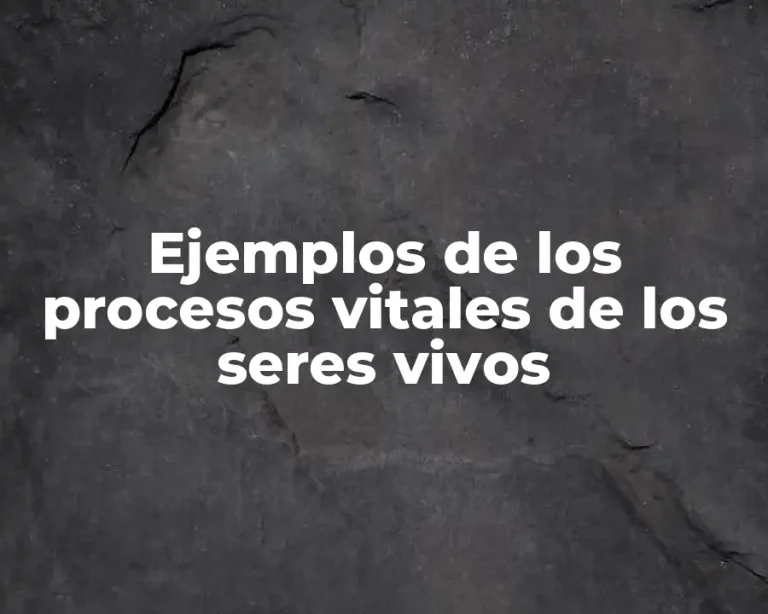 Ejemplos de los procesos vitales de los seres vivos