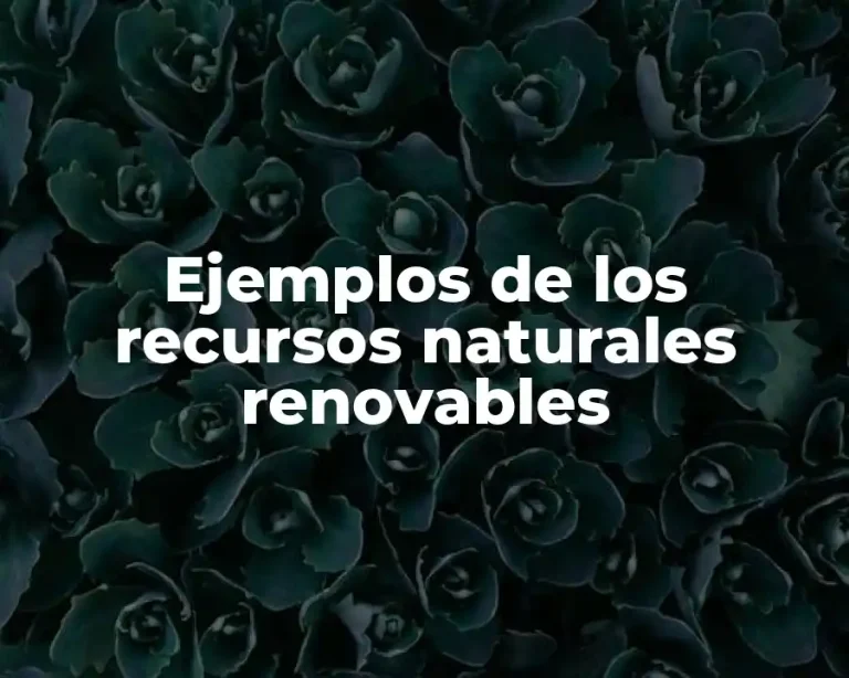 Ejemplos de los recursos naturales renovables