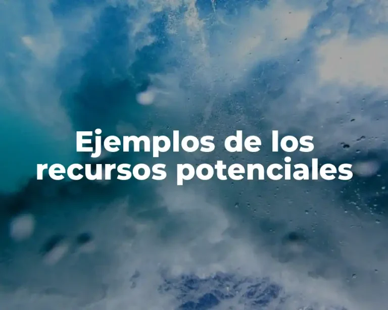 Ejemplos de los recursos potenciales