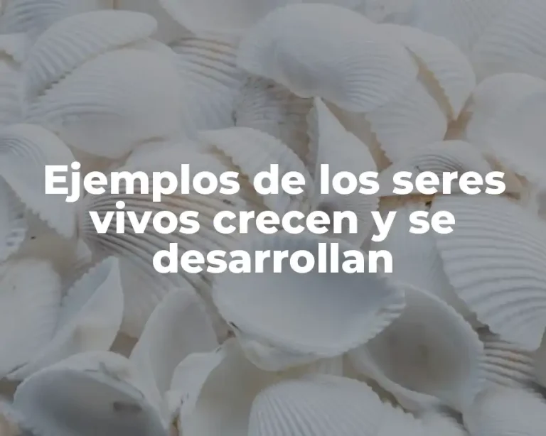 Ejemplos de los seres vivos crecen y se desarrollan