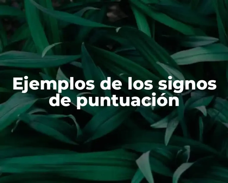 Ejemplos de los signos de puntuación