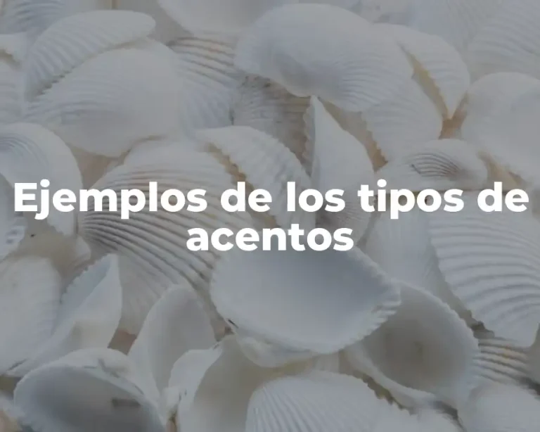 Ejemplos de los tipos de acentos