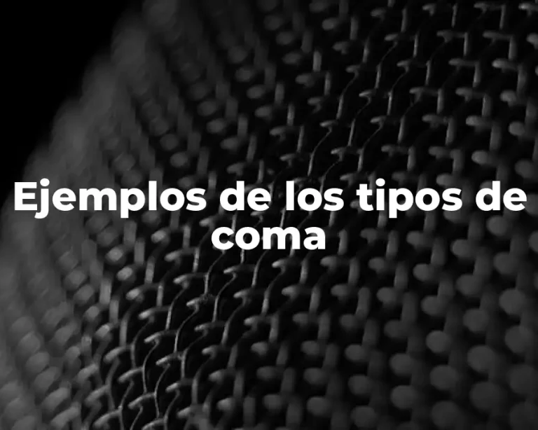 Ejemplos de los tipos de coma