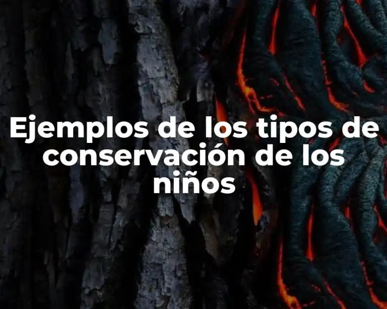 Ejemplos de los tipos de conservación de los niños