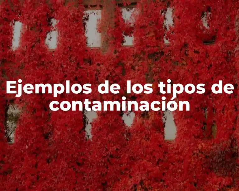 Ejemplos de los tipos de contaminación