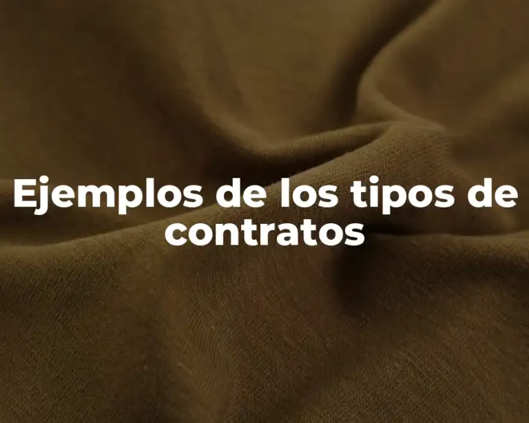 Ejemplos de los tipos de contratos