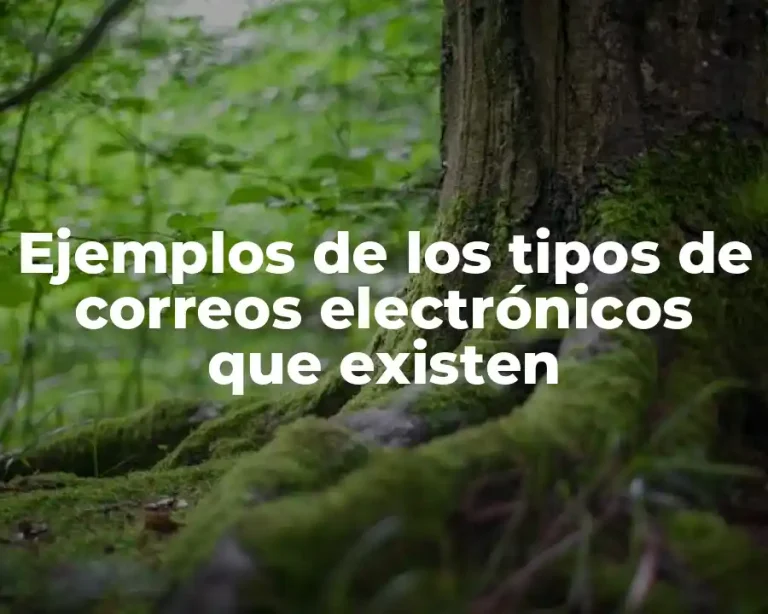 Ejemplos de los tipos de correos electrónicos que existen
