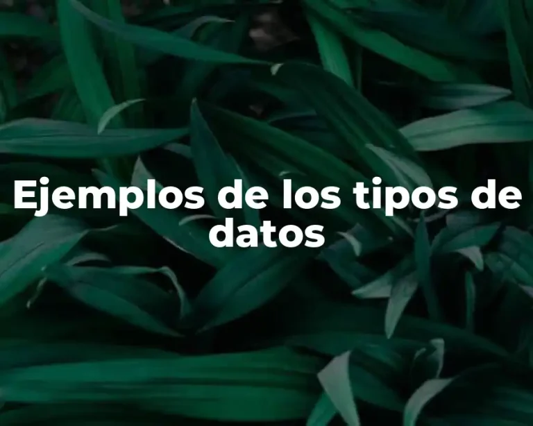 Ejemplos de los tipos de datos