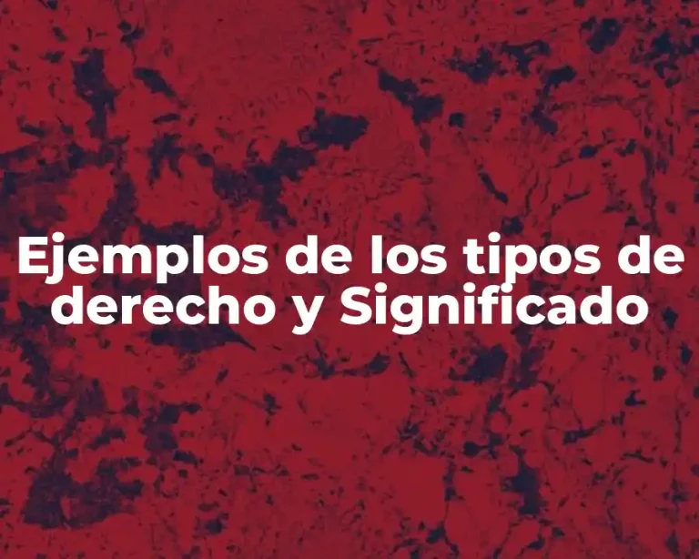 Ejemplos de los tipos de derecho y Significado