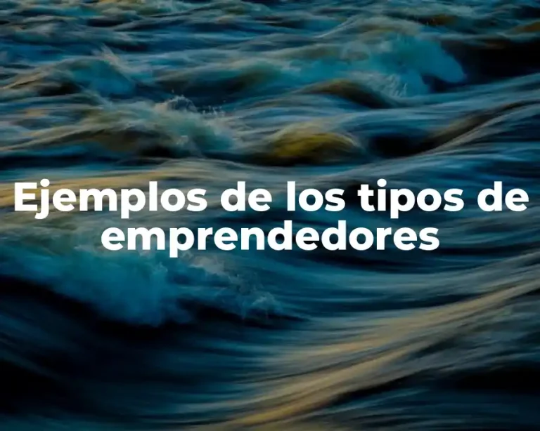 Ejemplos de los tipos de emprendedores