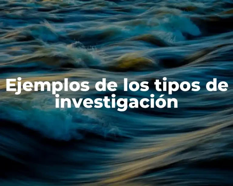 Ejemplos de los tipos de investigación