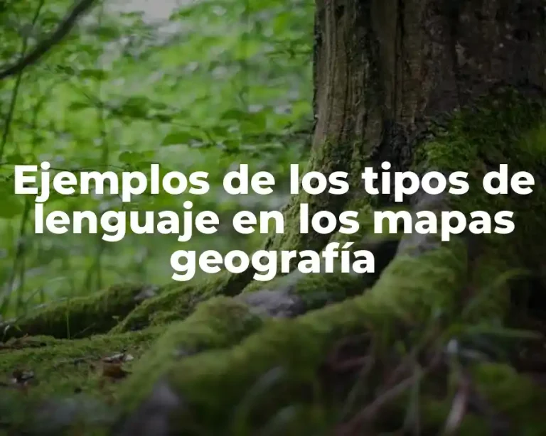 Ejemplos de los tipos de lenguaje en los mapas geografía