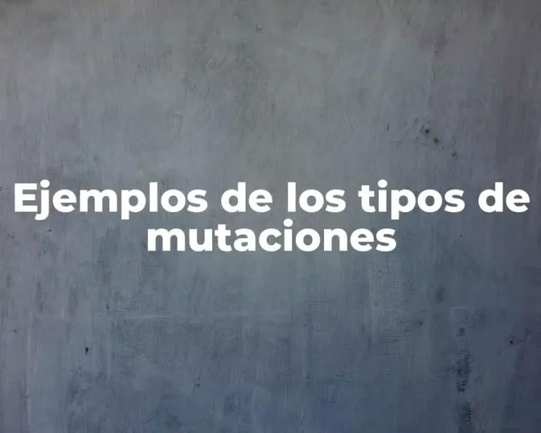 Ejemplos de los tipos de mutaciones