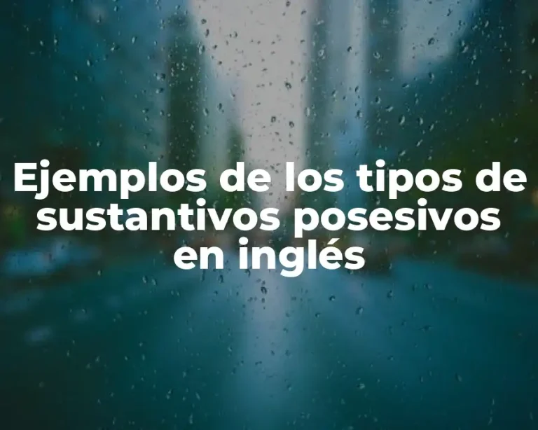 Ejemplos de los tipos de sustantivos posesivos en inglés