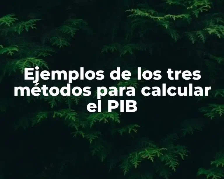Ejemplos de los tres métodos para calcular el PIB
