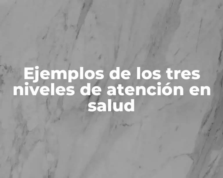 Ejemplos de los tres niveles de atención en salud