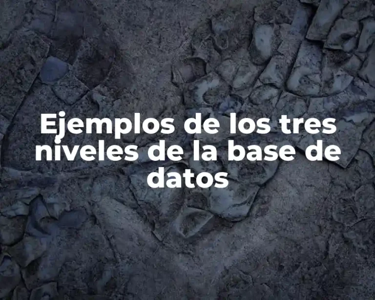 Ejemplos de los tres niveles de la base de datos