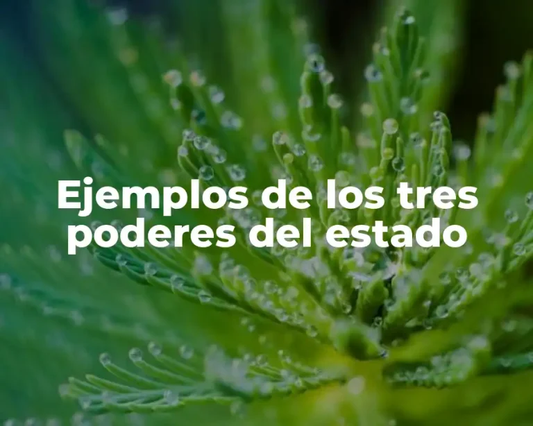 Ejemplos de los tres poderes del estado