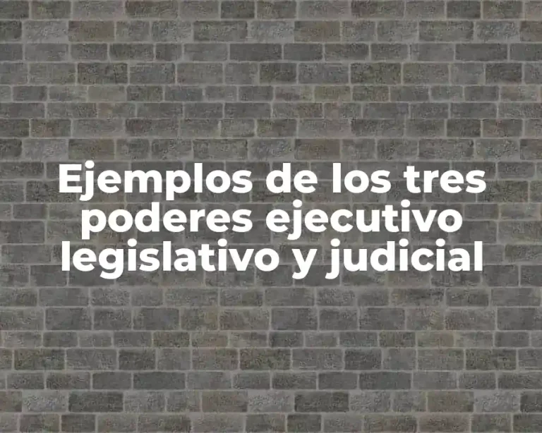 Ejemplos de los tres poderes ejecutivo legislativo y judicial
